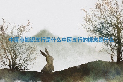 中医小知识五行是什么_中医五行的概念是什么