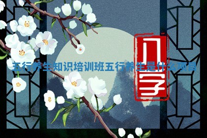 五行养生知识培训班 五行养生是什么项目