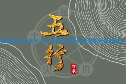 探秘五行金木水火土的动漫世界带你领略元素的魅力