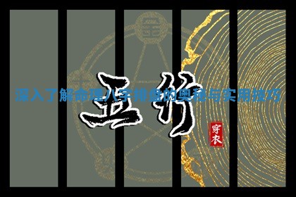 深入了解命理八字排盘的奥秘与实用技巧